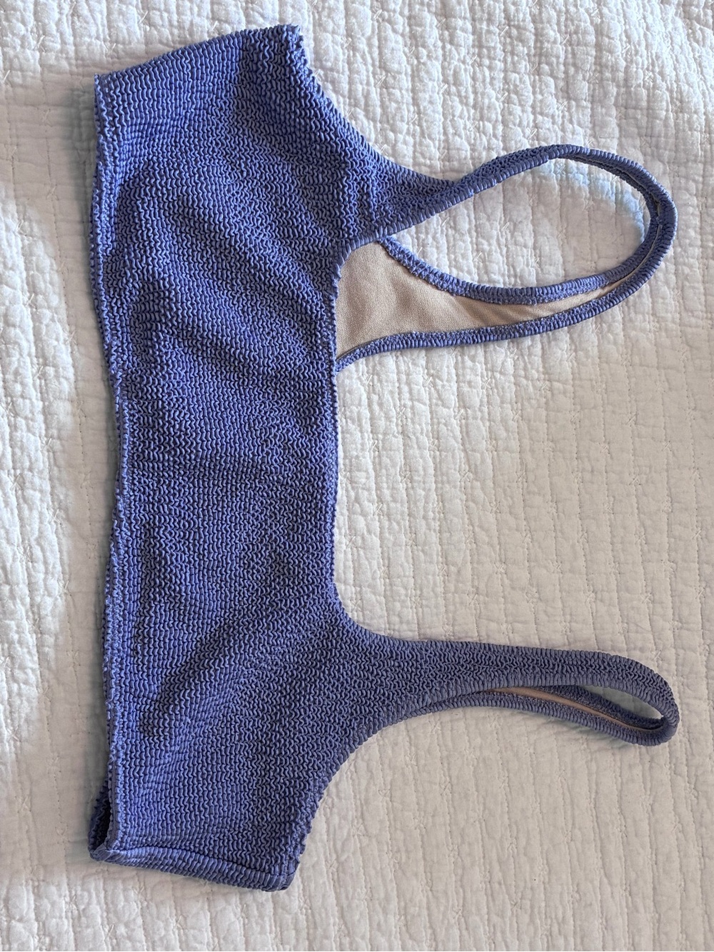 PacSun Textured Periwinkle Blue Bikini Top